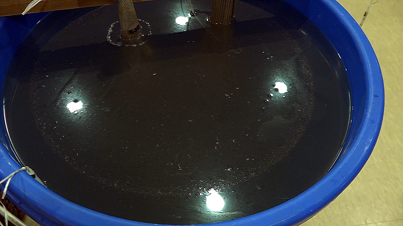 Use the whole solution before the circular disc starts to break.