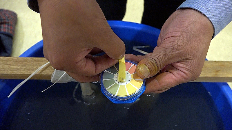 Microorganism solution made from potatoes and water is neutral, whereas that made from molasses and sugar is strongly acidic.