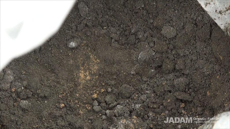 ⓒ [ JADAM ] Fermenting the feed together with activated charcoal.