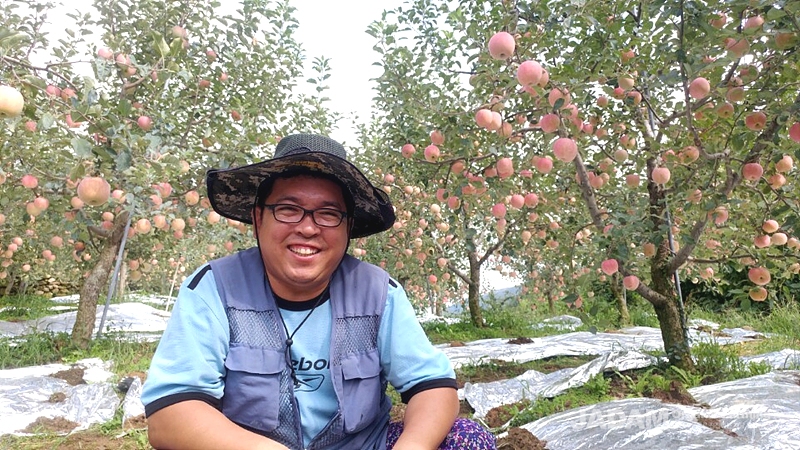 Mr. Yoon smiles in front of his apples that are starting to color.
