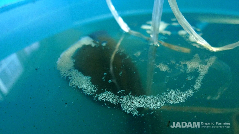 Bubbles start to get larger.
