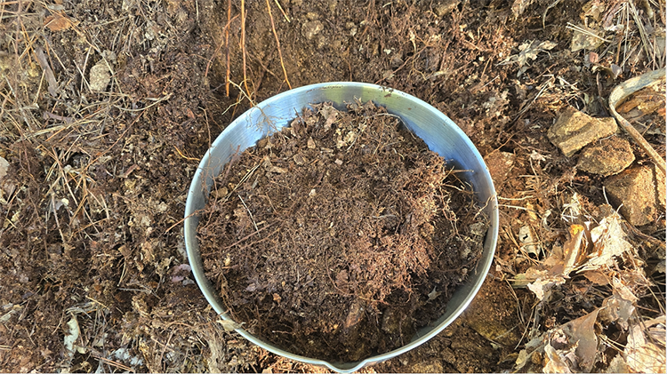 To make JADAM Microbial Pesticide (JMP), leaf mold soil is chosen as the microbial starter.