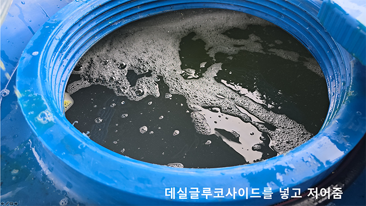 When Decyl Glucoside is mixed with the JADAM microbial culture liquid, it instantly becomes a powerful microbial insecticide.