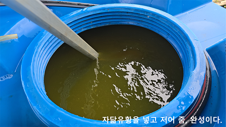 When Decyl Glucoside is mixed with the JADAM microbial culture liquid, followed by the addition of Potassium Hydroxide, and then JADAM Sulfur (JS) is incorporated, it becomes a powerful broad-spectrum insecticidal and fungicidal agent.