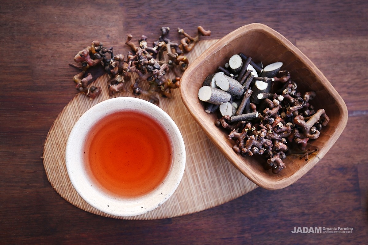 The twigs and fruits can also be decocted and enjoyed as tea.
