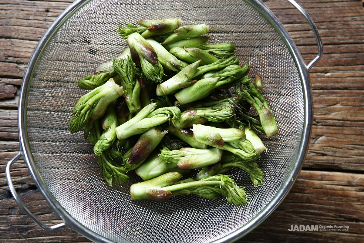 The young shoots are mainly eaten in spring.