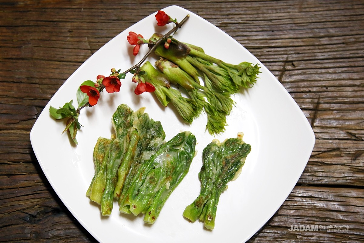 The blanched shoots can be skewered with beef to make dureup-jeok, or cooked as pancakes or tempura.