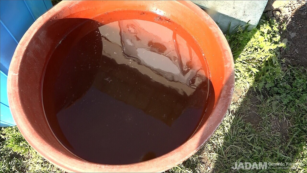 He puts 10 kg of salt in a 45 L container to make saltwater, and scoops out 2 L with a beaker to add when culturing JMS.