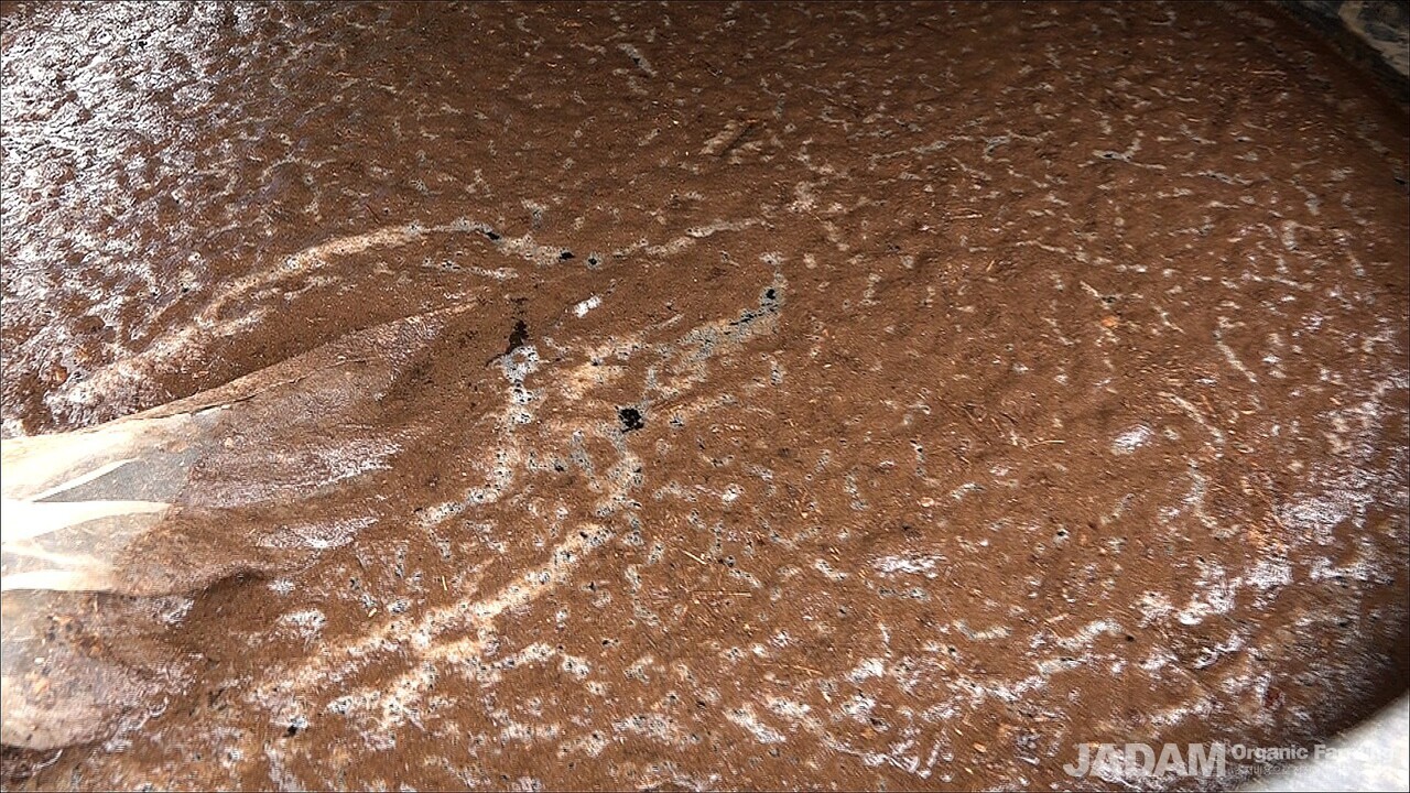 A 500 L tank filled with JADAM Microorganism Solution (JMS) showing rich surface foam after 48 hours of unheated culturing using leaf mold soil, sea salt, and potato starch.