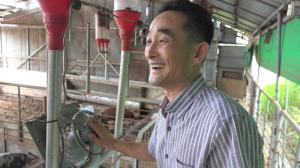 Incredible results of 30 years of organic pig farming (Seongdu Kim, Imshil)