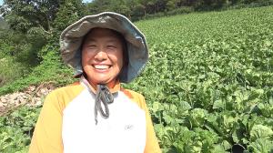 Controlling cabbage wireworms/click beetles with no. 12