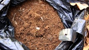 4. Make the soil microbes like that in leaf mold