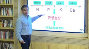 12. How to apply fertilizer? Simple and easy.. No more nutrition cycle theory