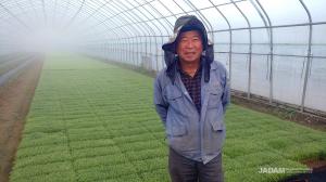 Rice bakanae disease was solved by leaving the seeds in cold water mixed with 20 L of JS for 24 hours