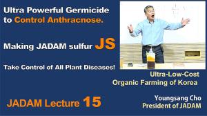 JADAM Lecture Part 15. Ultra Powerful Germicide to Control Anthracnose.  Making JADAM sulfur JS.   Take Control of All Plant Diseases!