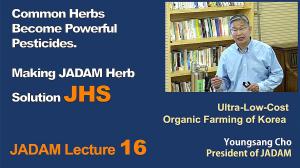 JADAM Lecture Part 16. Common Herbs Become Powerful Pesticides. Making JADAM Herb Solution JHS