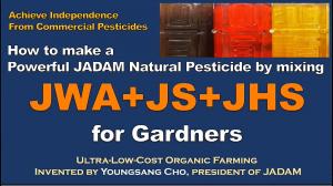 How to make a  Powerful JADAM Natural Pesticide by mixingJ WA+JS+JHS for Gardners