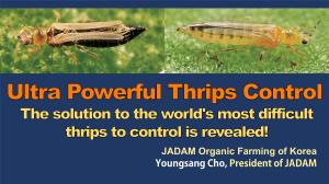 Ultra Powerful Thrips Control