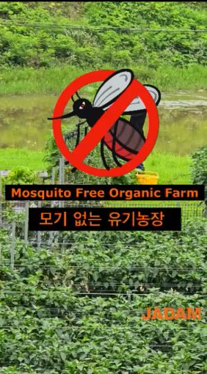 Mosquito Free Organic Farm