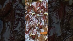 Global Pest, Instant Kill: JMP vs Termites