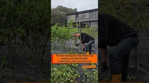 The Core Technique for High Yields: Crop Residues as the Best Fertilizer
