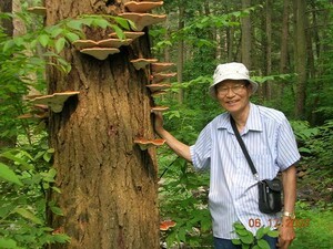 The Obsession with Mushrooms (By Jongsoo Choi - Mushroom Enthusiast, USA)