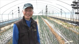 Farming about 2.45 acres of diverse crops in small quantities, enjoying the process with JADAM Microbial Pesticide (JMP)