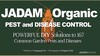JADAM Organic PEST and DISEASE CONTROL(new), POWERFUL DIY Solutions. Sales start on June 25.