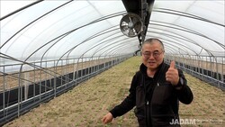 What Is the Biggest Advantage of JADAM Microbial Pesticide (JMP)? The Secret to Boosting Market Prices!