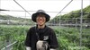 Continuous Use of JMP Without Chemical Damage Risks Reduces Pest Populations