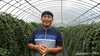 Where Did All the Thrips and Aphids Go? JMP.S Is Beyond Compare!