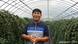 Where Did All the Thrips and Aphids Go? JMP.S Is Beyond Compare!