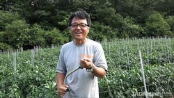 When JADAM Microorganism Solution (JMS) Cultivation Fails, Try This Method