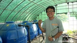 Resolving Nutrient Deficiencies with Compost-Infused Liquid Fertilizer Tea